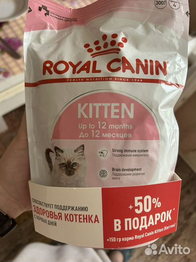 Сухой корм для котят Royal