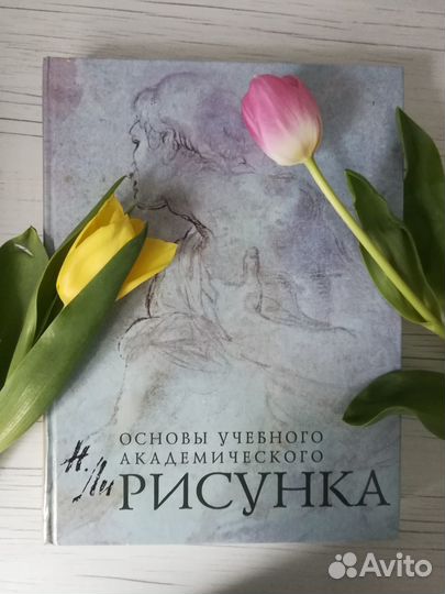 Книга Основы учебного академического рисунка Н.Ли