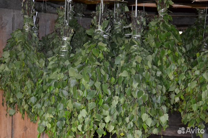 Веники для бани