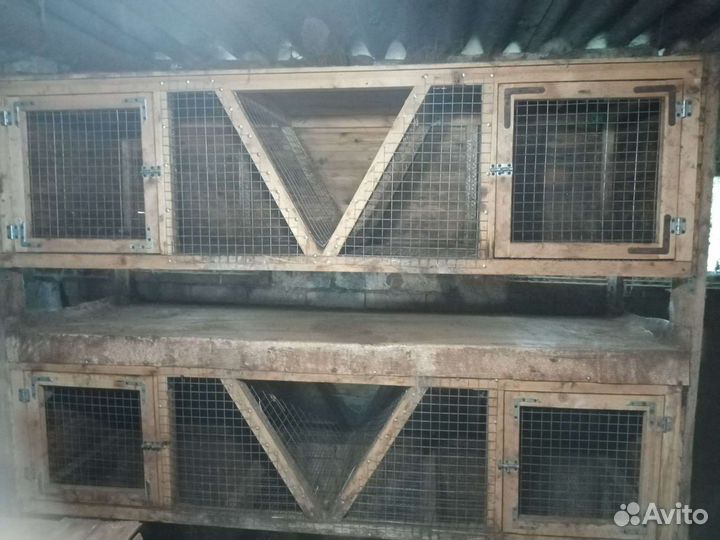 Клетка для кроликов