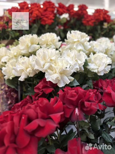 Розы Букеты Цветы 101,51 с доставкой