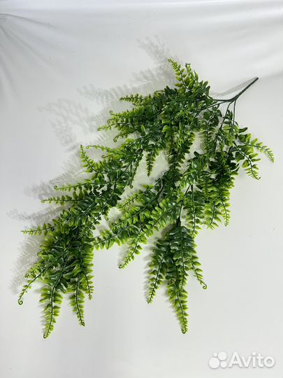 Ампельная зелень