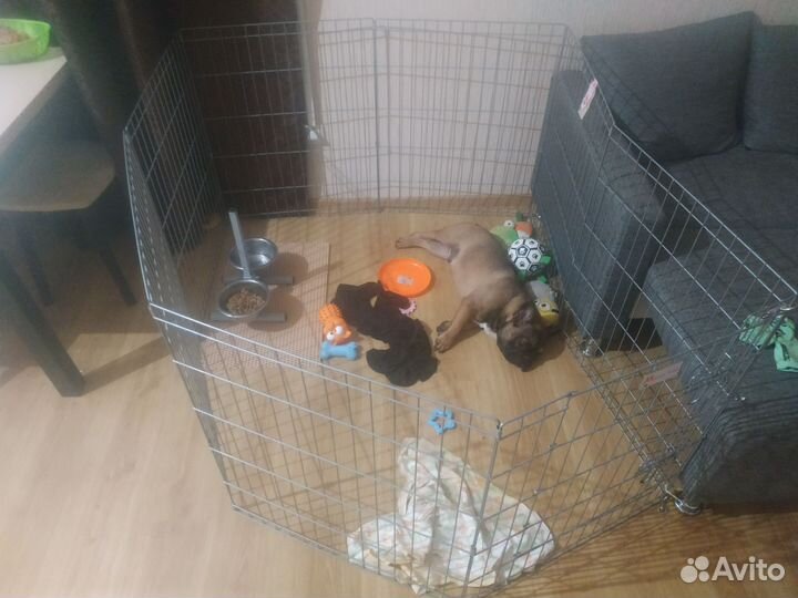 Вольер для собак в квартиру