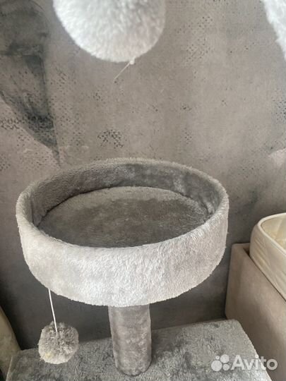 Когтеточка