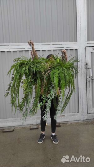 Подвесные композиции