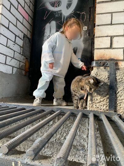 Спортивный костюм на флисе детский 104 Sela