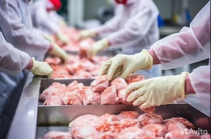 Разнорабочие на птицефабрику