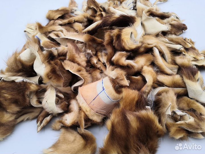 Кусочки меха лисы для рукоделия. Натуральный мех