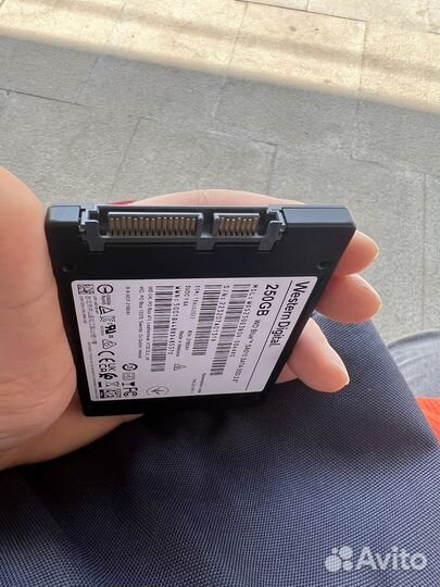 SSD WD blue SA510 250gb