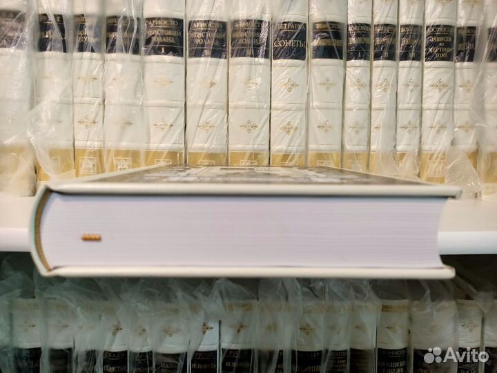 Потерянный рай. Мильтон. Вита Нова. 2008 г