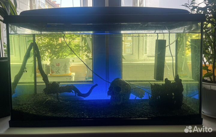 Аквариум с крышкой aquael (фирменный оригинал)