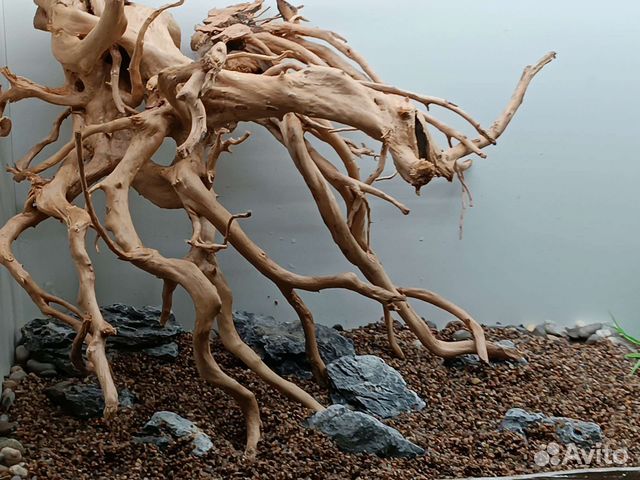 Натуральные Коряги. Декор для аквариума. Азалия