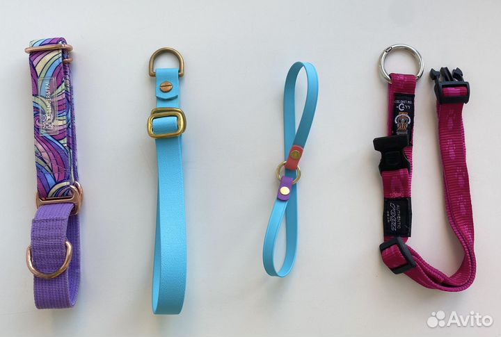 Амуниция для собак