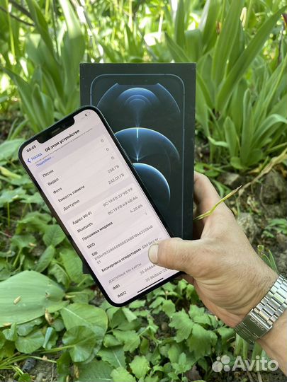 iPhone 12 Pro Max, 256 ГБ