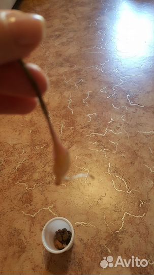 Спатилафитум