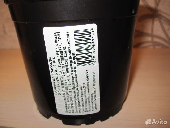 Фиалка розовая 120 и Хлорофитум 55