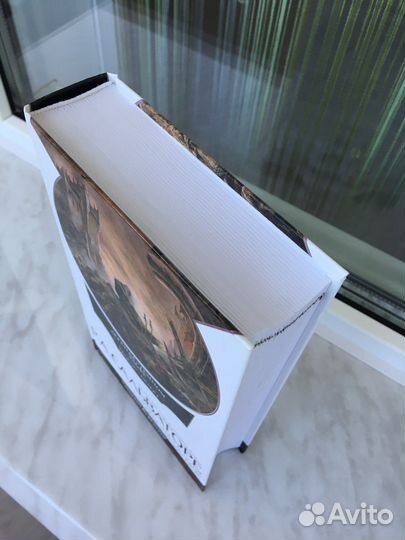 Р. Сальваторе. Легенда о темном эльфе. Книга V