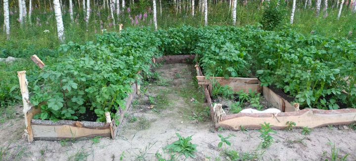 Участок 12,7 сот. (ИЖС)