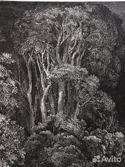 Гюстав Доре, гравюры, Данте