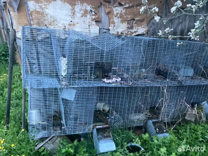 Клетки для кроликов