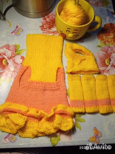 Одежда для собак мелких пород