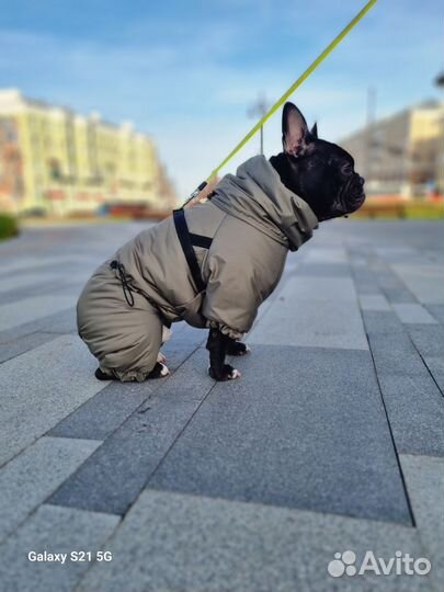 Зимний комбинезон для собак средних пород