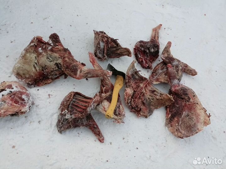 Продам мясо,на корм животным, 200р за килограм