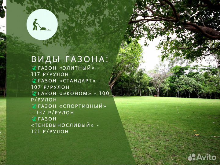 Рулонный газон стандартный