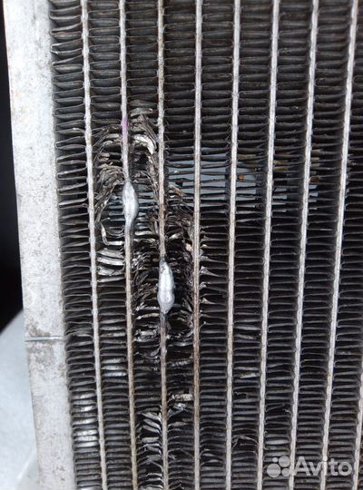 Радиатор охлаждения двигателя, Subaru Forester, SH