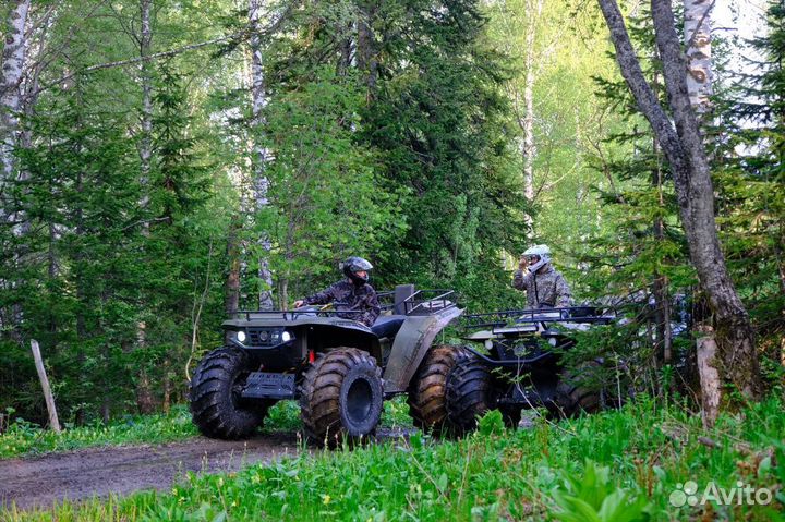 Прокат квадроциклов