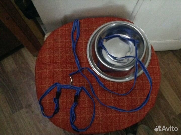 Поводки и ошейники для собак