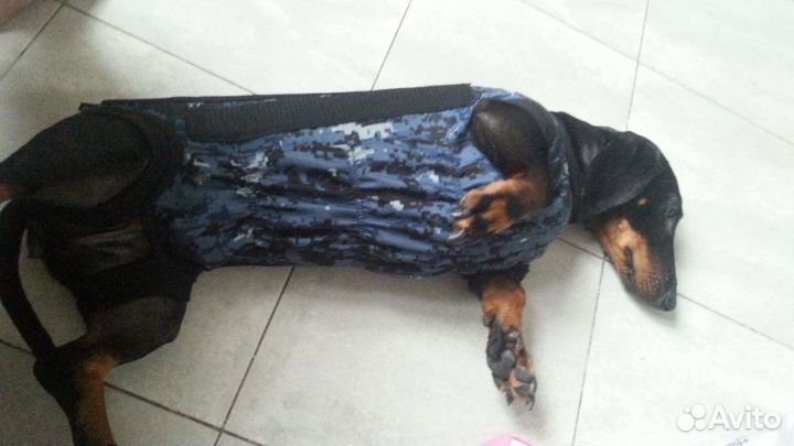 Лечебный шейный корсет для собак любой породы