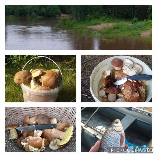 База отдыха в аренду