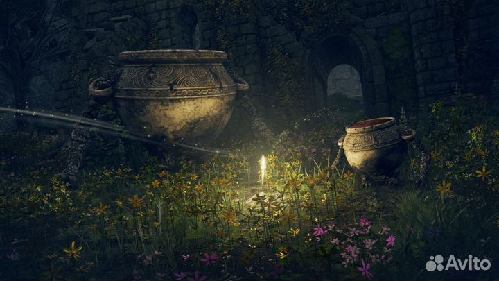 Elden Ring Shadow Of The Erdtree PS5