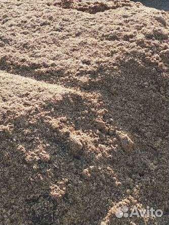 Корм для животных. Пивная дробина