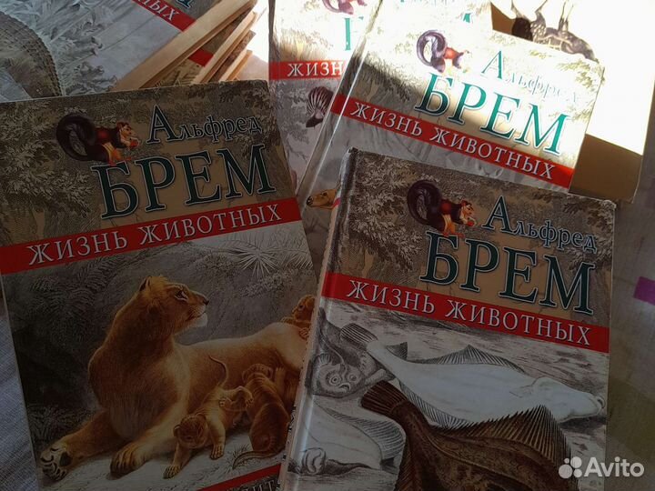Книги о животных Альфред Брем