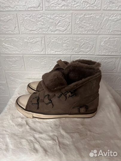 Кеды Ash оригинал