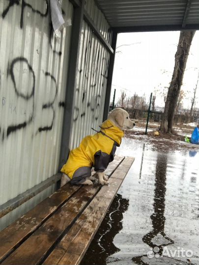 Комбенизон / дождевик для собак