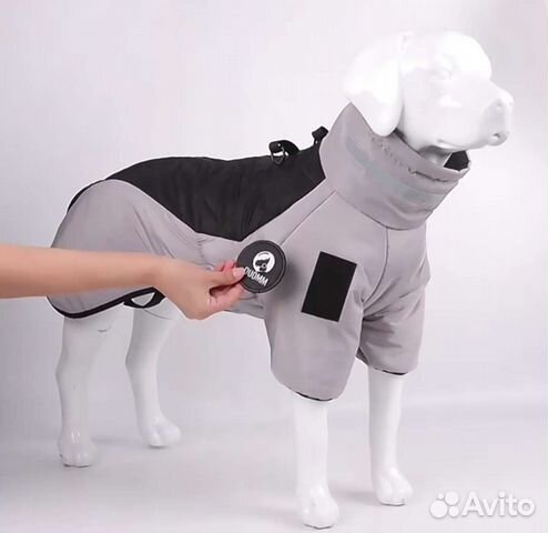 Одежда для средних собак