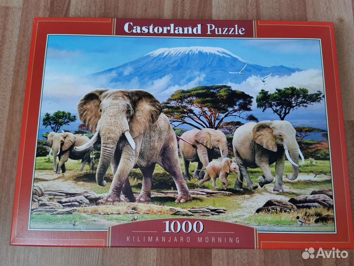 Пазлы 1000 деталей