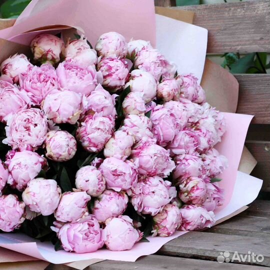 Пионы цветы букеты