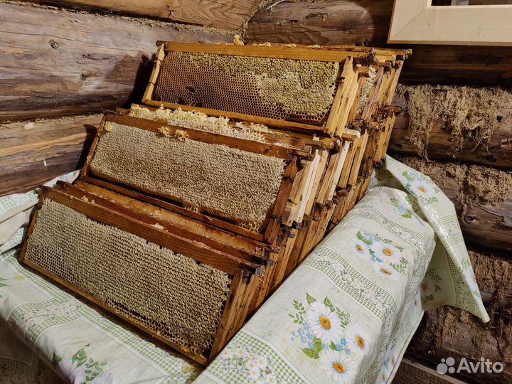 Мед со своей пасеки