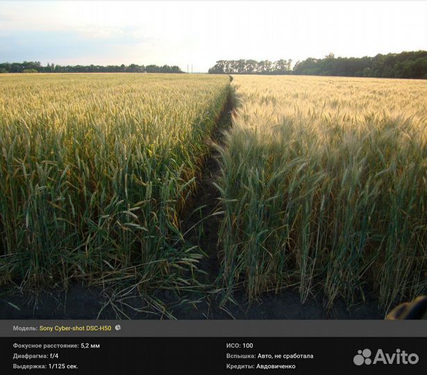 Компактный фотоаппарат Sony Cyber-Shot DSC-H50