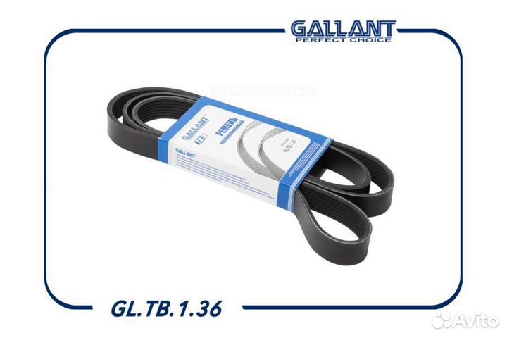 Gallant GL.TB.1.36 Ремень поликлиновый