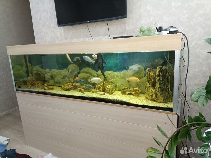 Аквариум с тумбой