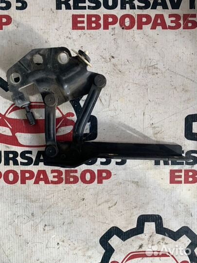 Петля капота правая Vw Passat B6 2.0 tfsi BWA 2007