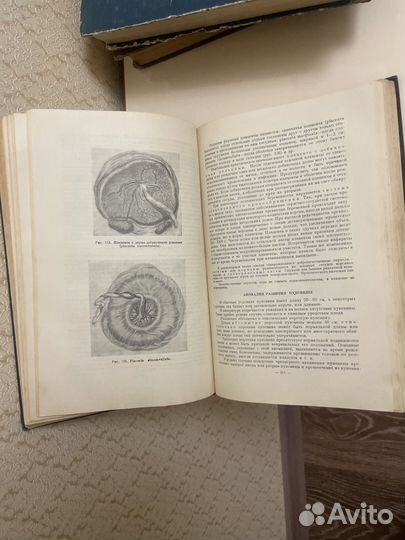 Ашерство Жорданиа