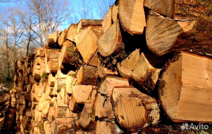 Дрова в розницу