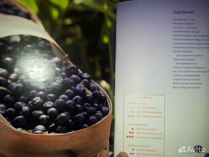 Книга новая 