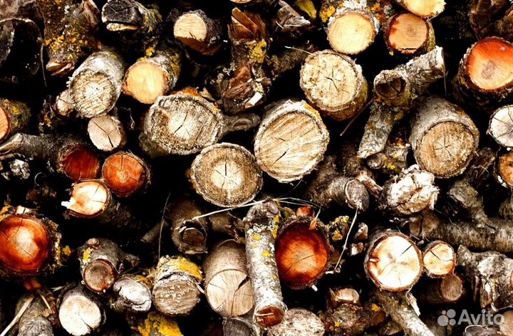 Дрова хорошие